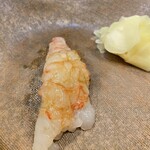 うを徳 - 羽幌産 牡丹海老