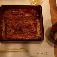 鰻割烹 伊豆栄 本店 - 