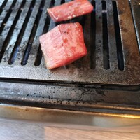 うしごろバンビーナ 渋谷店 -  うしごろバンビーナ 渋谷店 -
