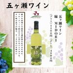 ★精選★ 【五瀨葡萄酒】 綠MIDORI