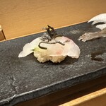 Sushi Kaishou - 