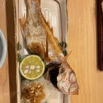 寿司 きんぼし - 