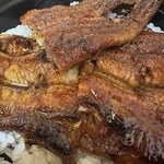 Sumibiyaki Unagi Higashiyama Bussan - 