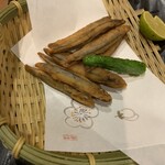 酒菜 四万十 - キビナゴ