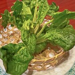 hinabemitaseito - 2月の季節のお野菜〈大阪産 ちぢみほうれん草〉