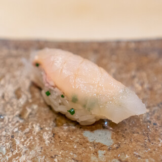 Sushi Takahashi - カワハギ