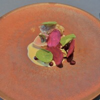 プレヴナンス - 