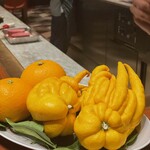 スガラボヴィー - 