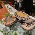 スガラボヴィー - 