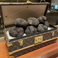 スガラボヴィー - 