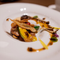 カントニーズ 燕 - 