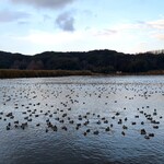 魚料理みうら - 夏目の堰　全景