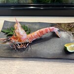 すし処 魚正 - 