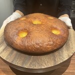 イル アオヤマ - 