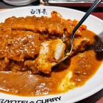 旨辛カレー専門店 白洋亭 - 