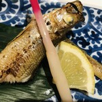 鮨 博多まつもと - 