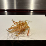 天ぷら たけうち - 車海老 足