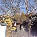 丸山珈琲  - 2013年11月：ハルニレテラスの入り口…広々しています