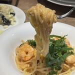 PASTA FRESCA TORNESTA - 