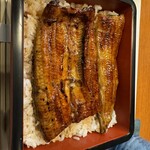 Unagi Ikeda - 