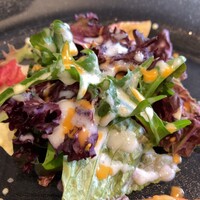 トラント.トロワ - 無農薬野菜のサラダ