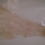 らんぷ亭 - 川南ひらめ　１月３日にこのクリスタルな白身！