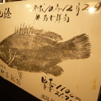土佐料理 祢保希 銀座店 - クエの魚拓（110cm・21.7kg）