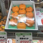 KOBOYA - 