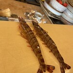 江戸前 すし勝 - 新鮮なえびちゃん