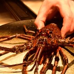 恵比寿 鉄板焼き Sublime - 伊勢海老