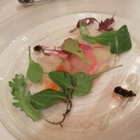 IL PINOLO 梅田 -  IL PINOLO 梅田 -