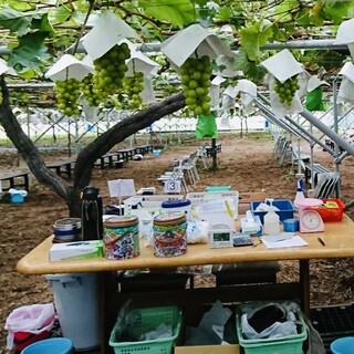 秩父フルーツファーム_2