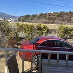 ウッディベア - 