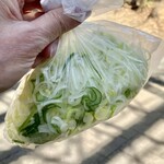 菜苑 - 純レバ炒めTOにつく大量のネギ