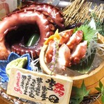 [Famous Octopus from Kesennuma] Boiled Octopus with Salt