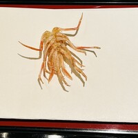 天ぷら 美やま - 