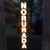 NoruraDa - その他写真: