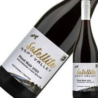 サテライト ピノ ノワール［Glass］