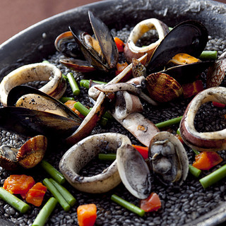 セルベセリアルービロポッサ_2