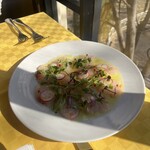 TRATTORIA PER BACCO - 