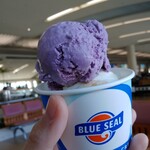 BLUE SEAL - 