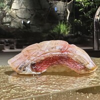 鮨shizuku 西天満 - 