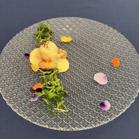 赤坂 桃の木 - 