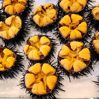 小判寿司 棚倉 - 