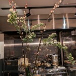 鴨蕎麦 尖 - 「雪やなぎ・こでまり」