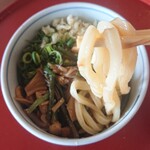 Ritsurin Sansou Udon - 麺のリフトアップ