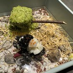 恵比寿 鉄板焼き Sublime - 