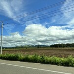 ジンギスカン白樺 - 