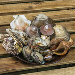 Assorted popular shellfish