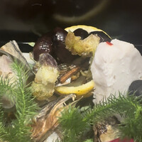 草喰 なかひがし - 